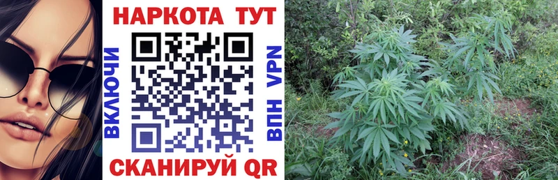Хочу наркоту Воркута Кокаин Меф мяу мяу Амфетамин гидра как войти А ПВП Гашиш