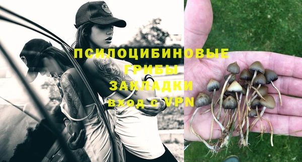 круглые Богданович