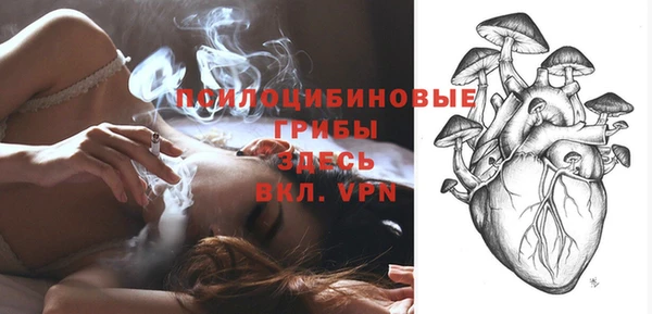 молекула духа Белокуриха