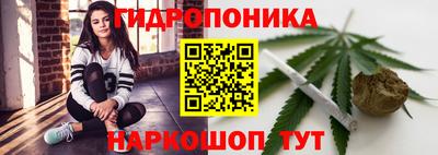 jwh Гусев