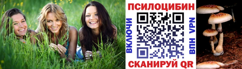 закладки  Воркута  Галлюциногенные грибы Cubensis 
