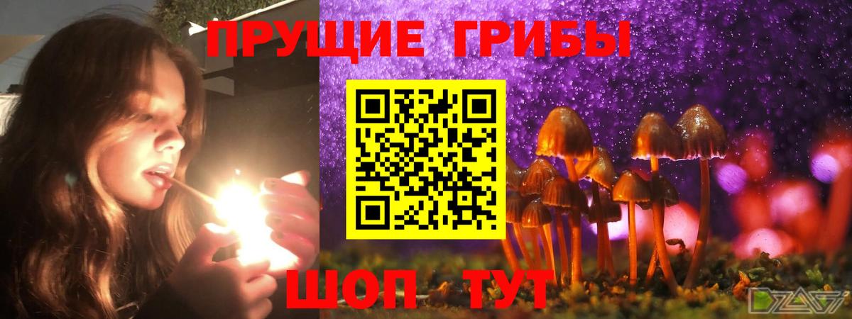 Галлюциногенные грибы Magic Shrooms  Вход с VPN  Воркута 